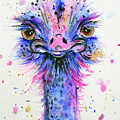 Cute Ostrich