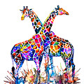 Giraffes