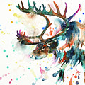 Reindeer