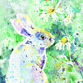 Summer Smells